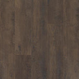 604743167787xl_464711802.jpg