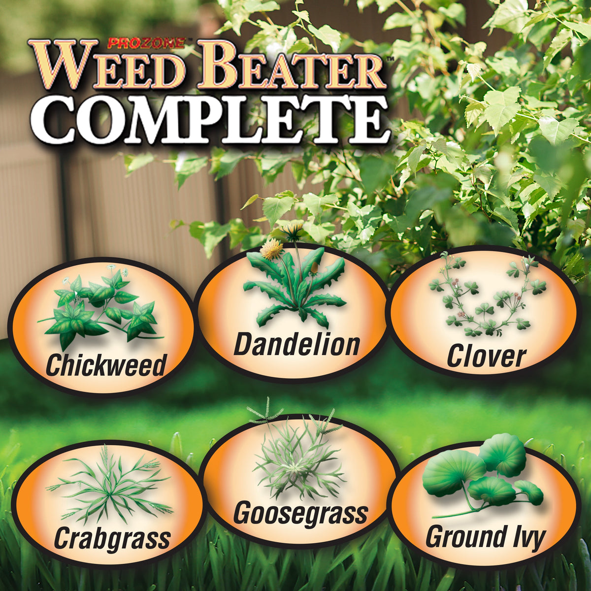 Bonide ProZone Weed Beater Complete Weed Killer Granules, 10 lb