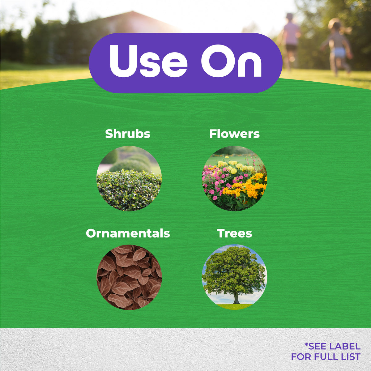 Bonide INFUSE Lawn & Landscape Systemic Disease Control Granules, 7.5 lb