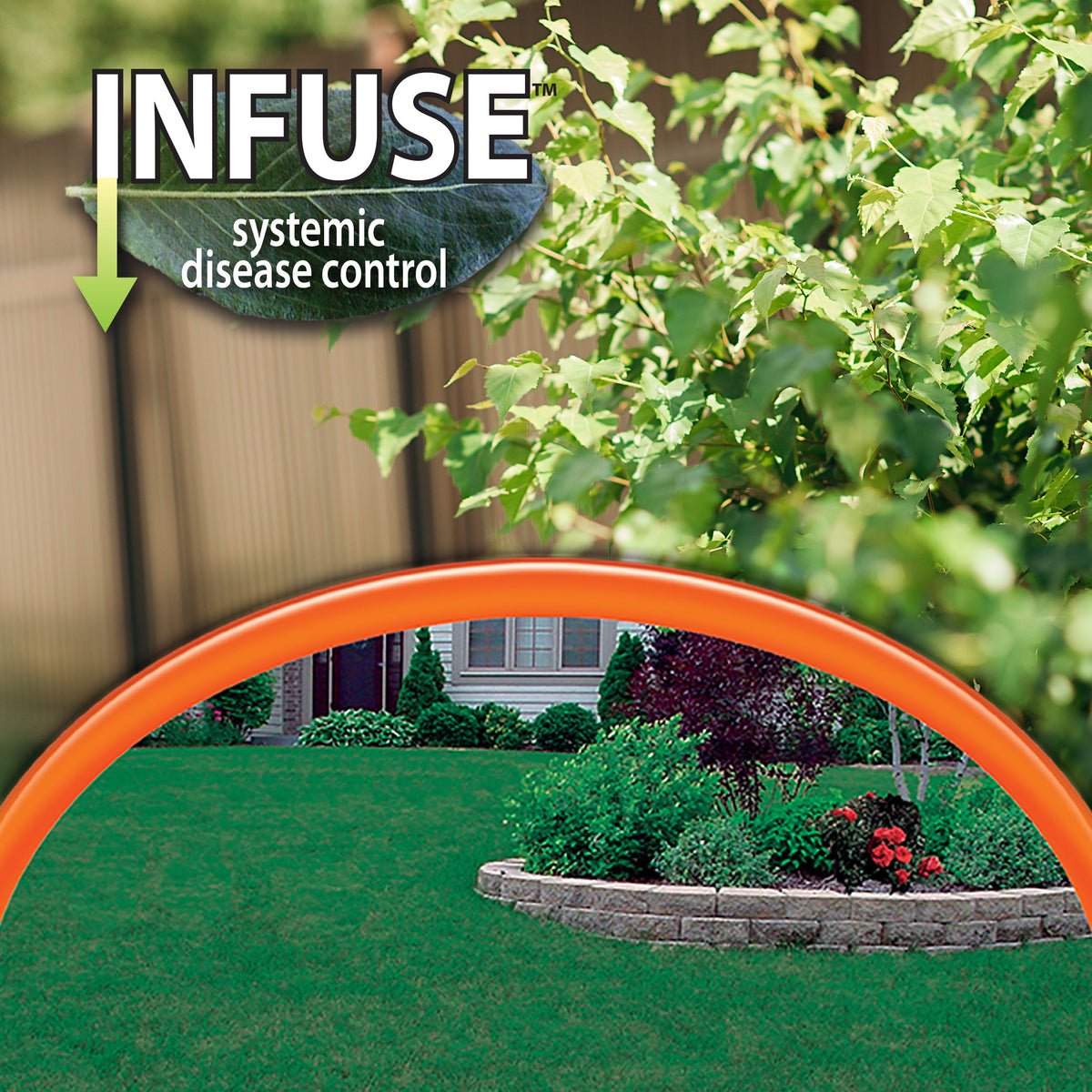 Bonide INFUSE Lawn & Landscape Systemic Disease Control Granules, 7.5 lb