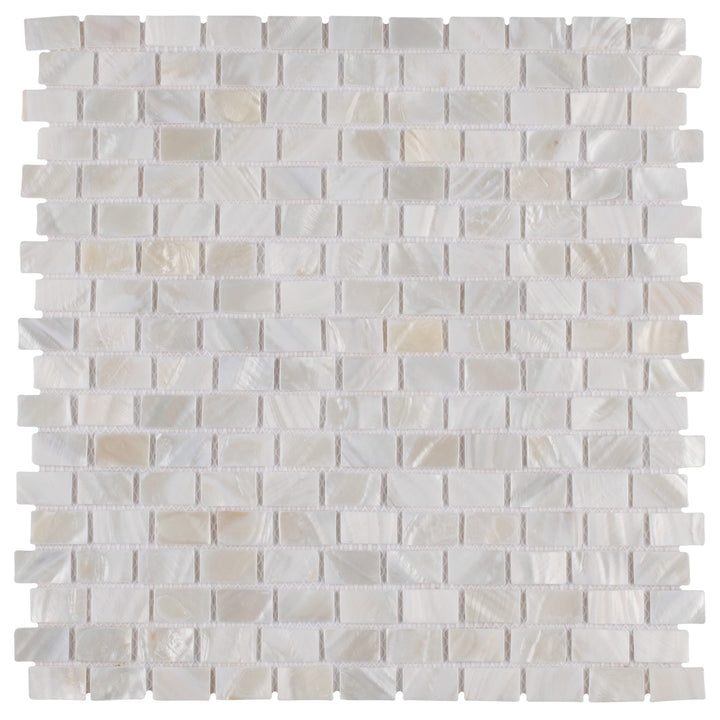Affinity Tile Conchella Subway White 12-in x 12-in Glossy Natural shell Mosaic Wall Tile product image