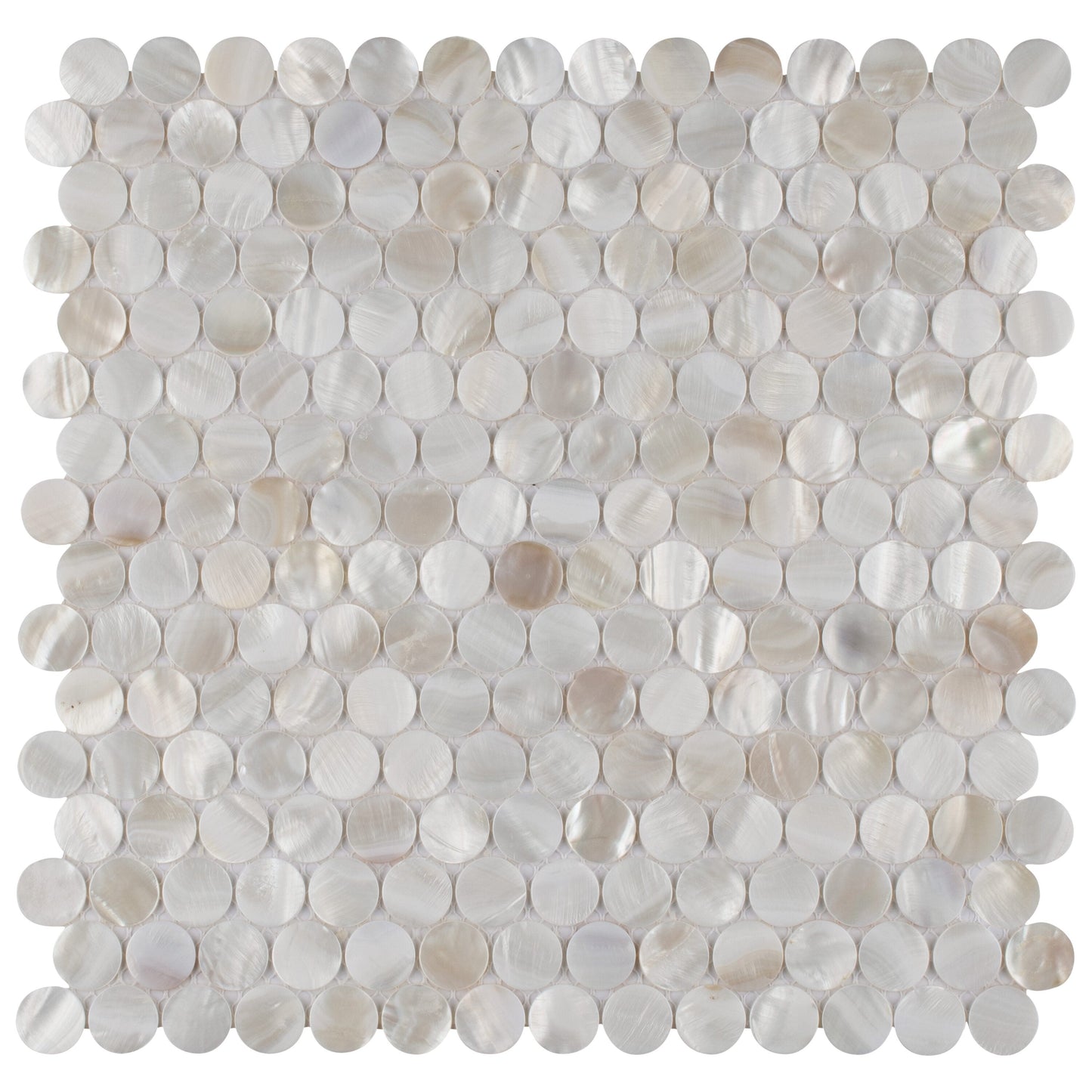 Affinity Tile Conchella Mini Penny White 12-in x 12-in Glossy Natural shell Round Mosaic Wall Tile product image