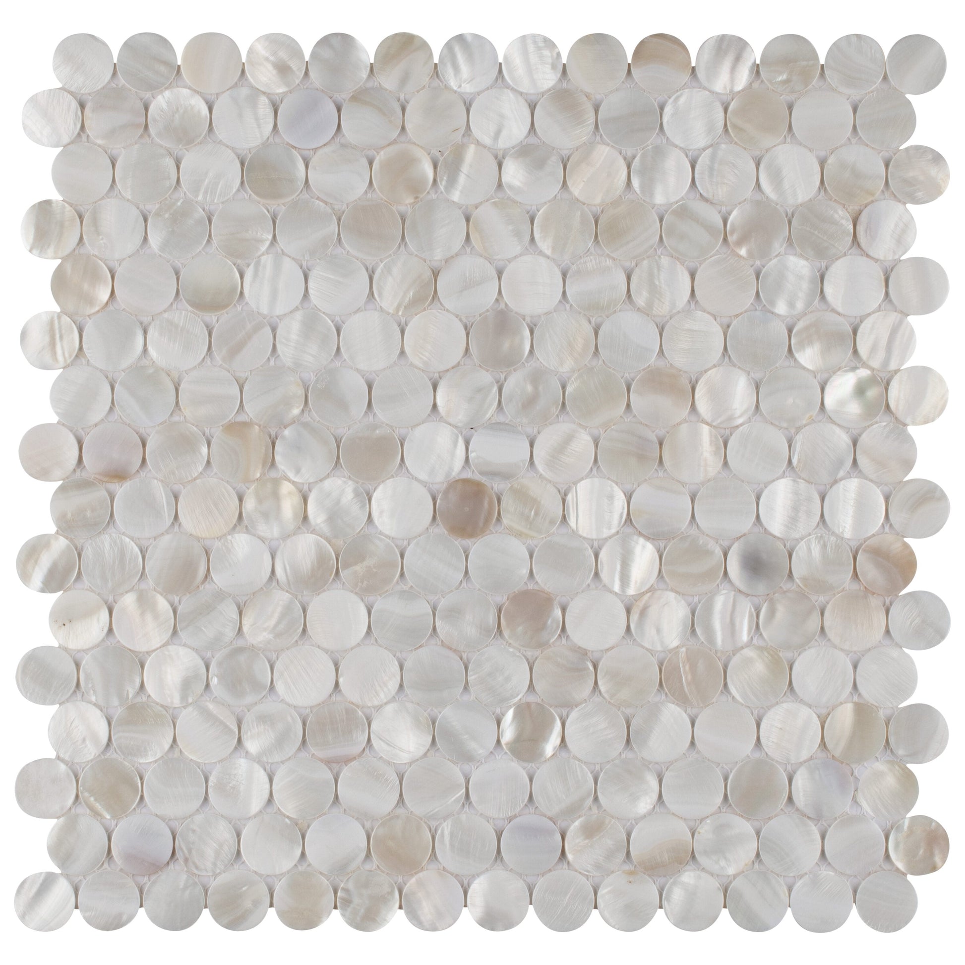 Affinity Tile Conchella Mini Penny White 12-in x 12-in Glossy Natural shell Round Mosaic Wall Tile product image