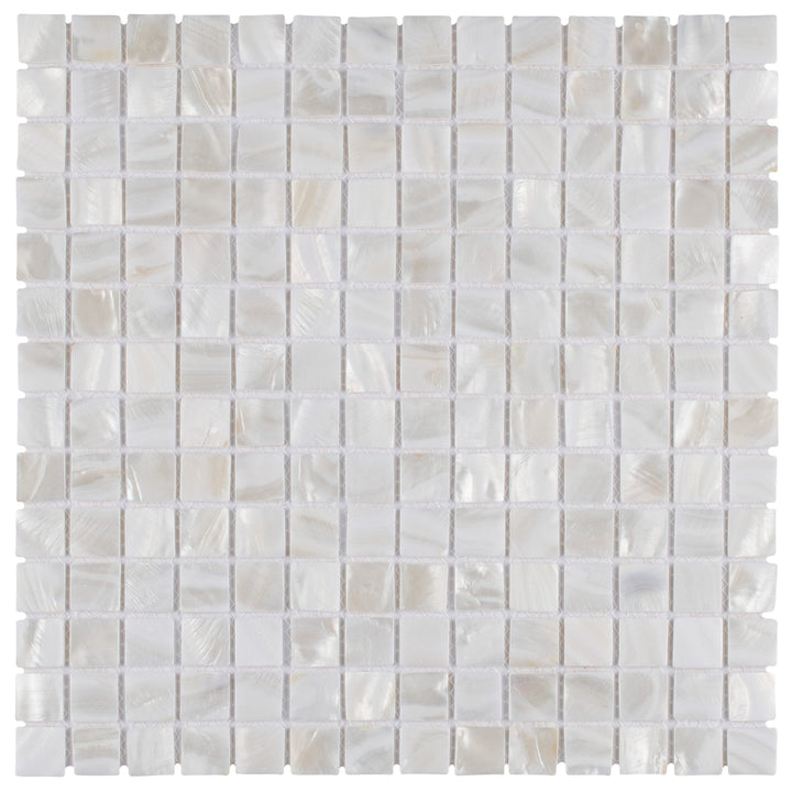 Affinity Tile Conchella Square White 12-in x 12-in Glossy Natural shell Mosaic Wall Tile product image