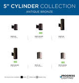 Progress Lighting Cylinder 5-in Antique Bronze Indoor/Outdoor Flush Mount Light, P5774-20