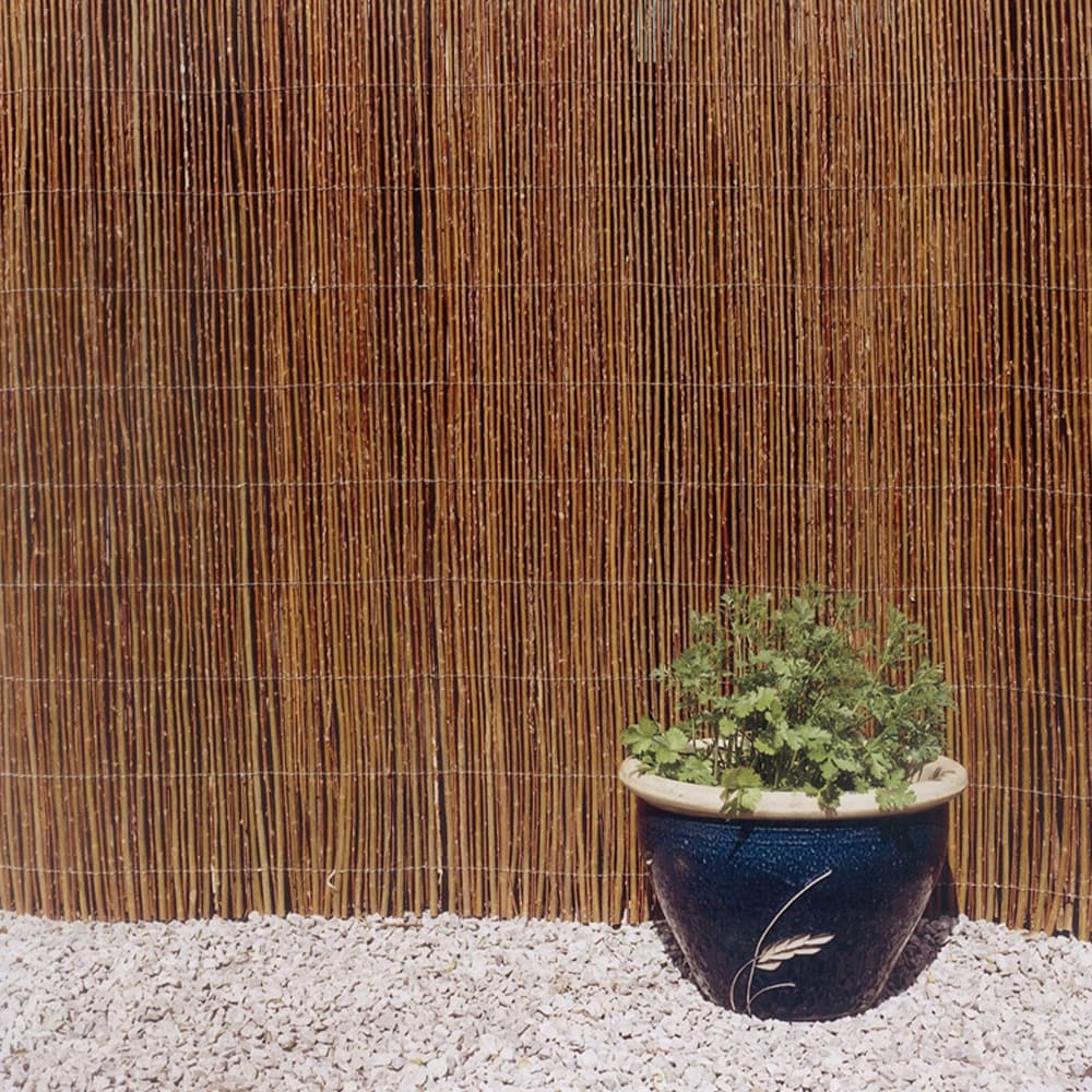 Backyard X-Scapes 16-ft x 6-ft 0.75-Gauge Brown Wood Bamboo Fencing Rolled Fencing