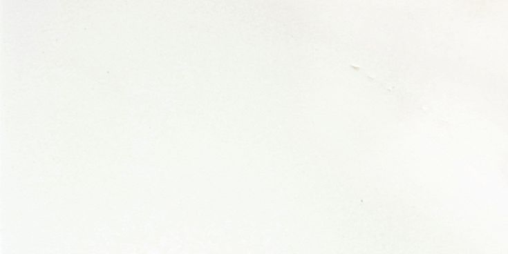 Emser THASSOS WHITE 6-Pack Thassos White 12-in x 24-in Polished Natural Stone Marble Stone Look Floor and Wall Tile