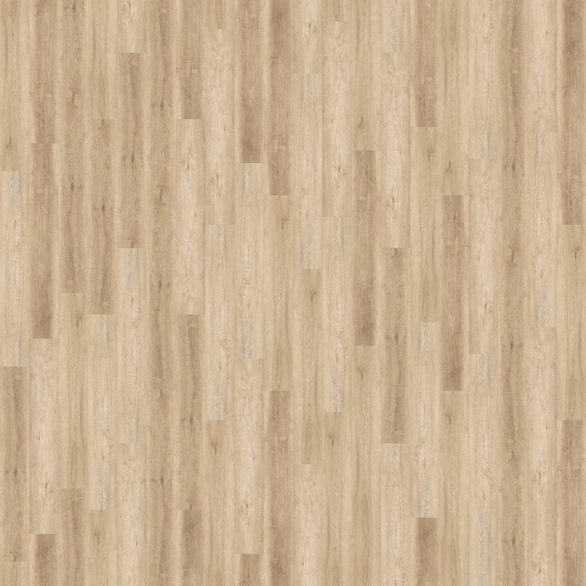 CALI Dover Beach Luxury Vinyl Plank Sample - Waterproof Flooring with 20-mil Wear Layer