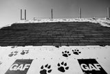 GAF TigerPaw 48-in x 250-ft Polypropylene Roof Underlayment