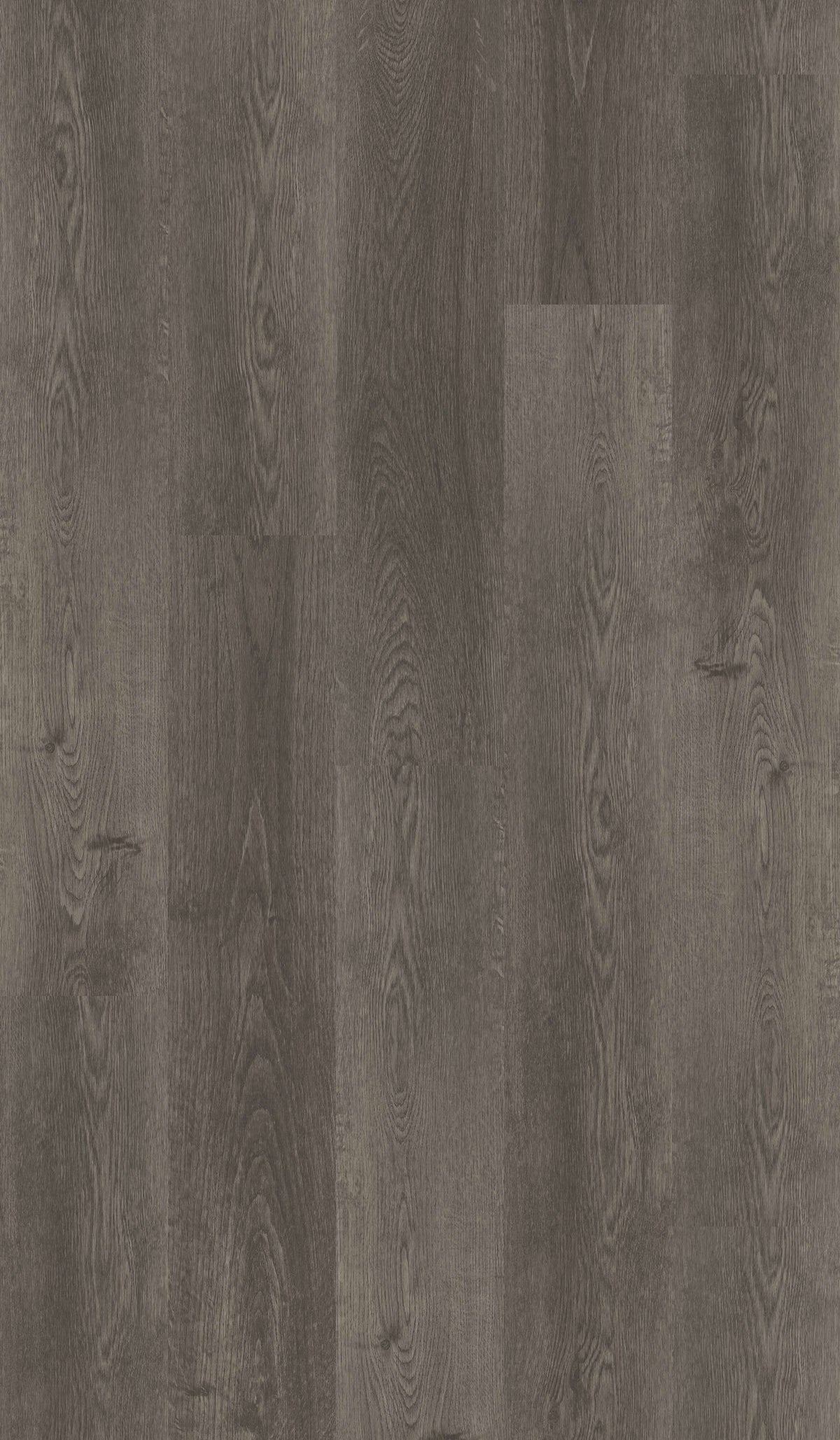STAINMASTER PetProtect (Sample) Lockhart Oak Waterproof Wood Look Interlocking Luxury Vinyl Plank