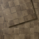 Lucida USA (Sample) Maxcore Silver Leaf Gray Wood Look 22-mil Interlocking Luxury Vinyl Plank