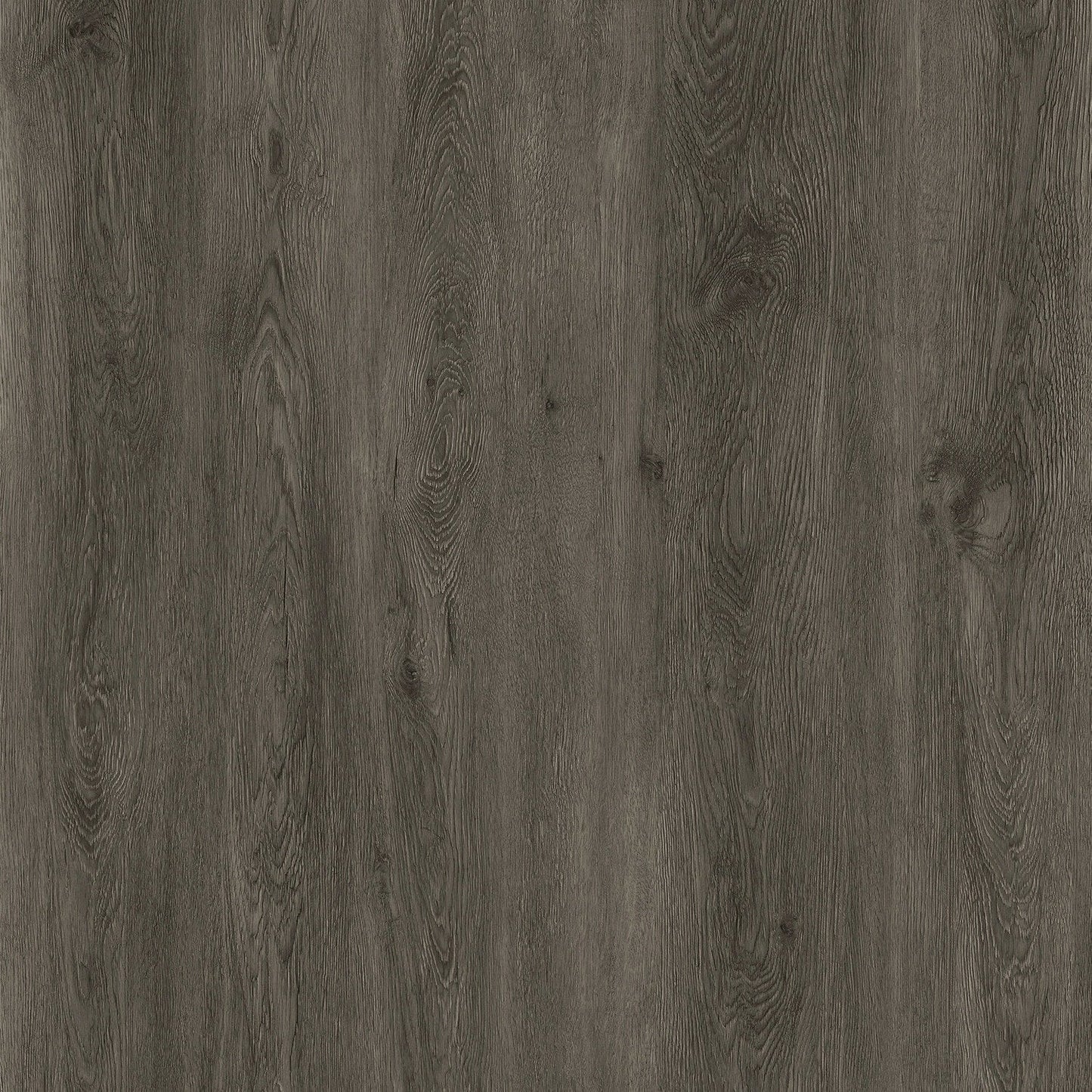 Lucida USA GlueCore Ash Grey 7-3/32-in W x 3-mm T Waterproof Luxury Vinyl Plank Flooring (39-sq ft)