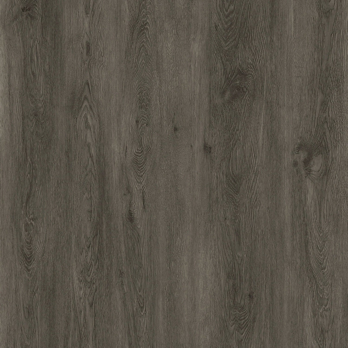 Lucida USA Gluecore Ash Grey Gray 22-mil x 7-3/32-in W x 48-in L Waterproof Glue Down Luxury Vinyl Plank Flooring (40-sq ft/ Carton)