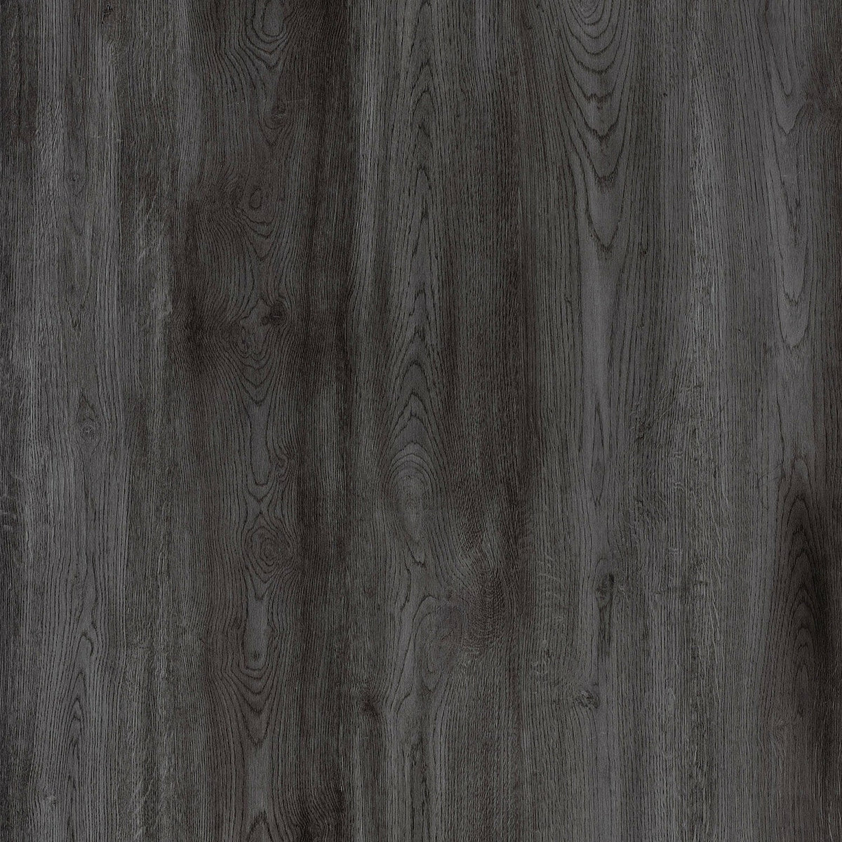 Lucida USA (Sample) Gluecore Slate Gray Wood Look 22-mil Glue Down Luxury Vinyl Plank