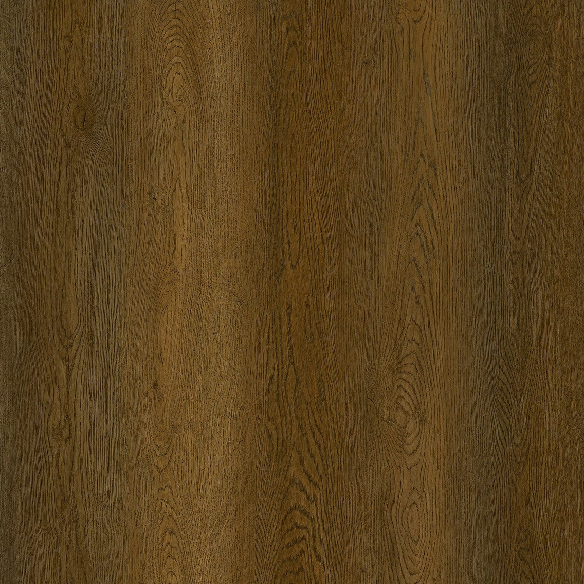 Lucida USA (Sample) Gluecore Woodmere Brown Wood Look 22-mil Glue Down Luxury Vinyl Plank