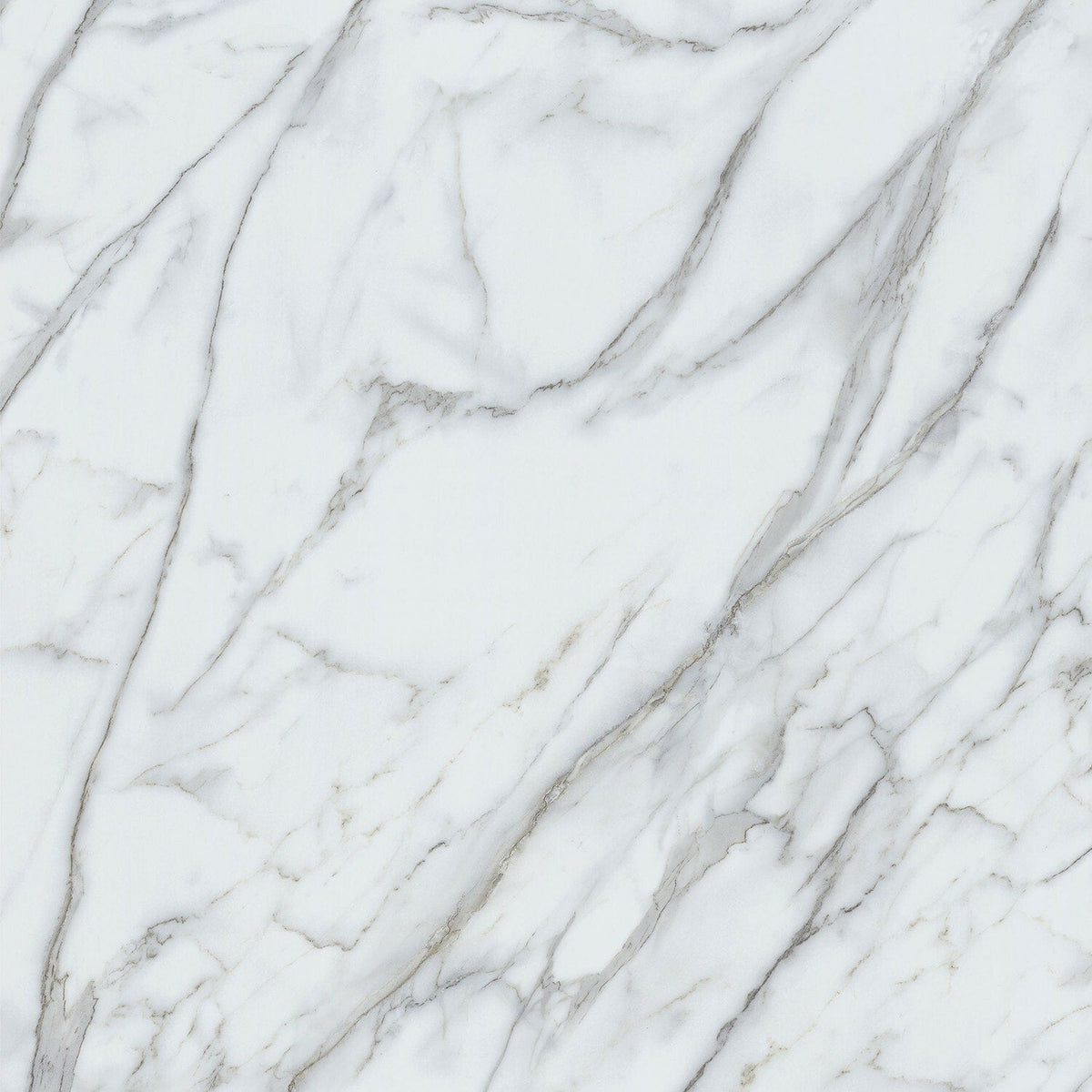 Lucida USA Gluecore Whitstone White 22-mil x 12-in W x 24-in L Waterproof Glue Down Luxury Vinyl Plank Flooring (36-sq ft/ Carton)