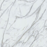 Lucida USA Gluecore Whitstone White 22-mil x 12-in W x 24-in L Waterproof Glue Down Luxury Vinyl Plank Flooring (36-sq ft/ Carton)
