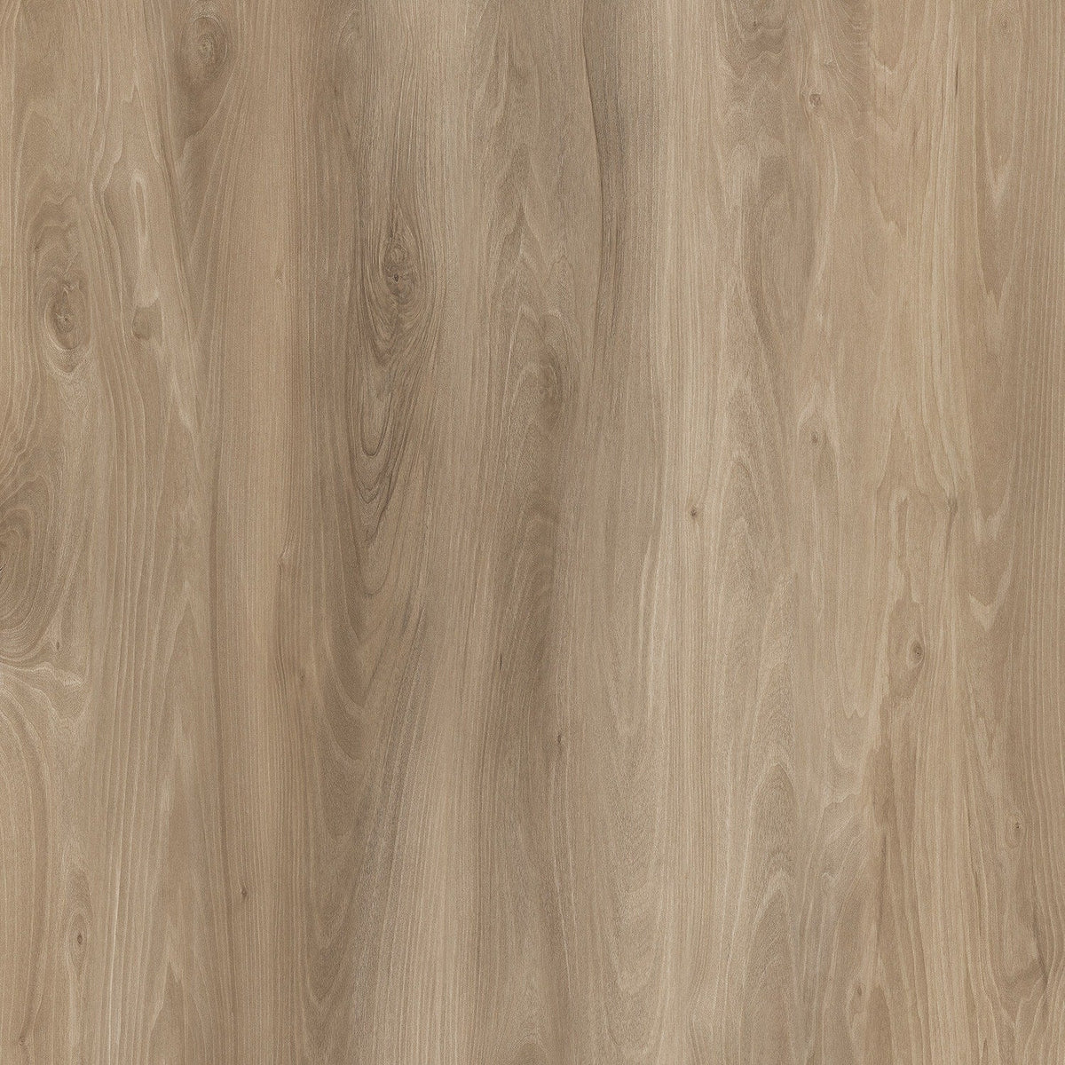 Lucida USA BaseCore Honey Brown 12-mil x 6-in W x 36-in L Waterproof Peel and Stick Vinyl Plank Flooring (54-sq ft/ Carton)