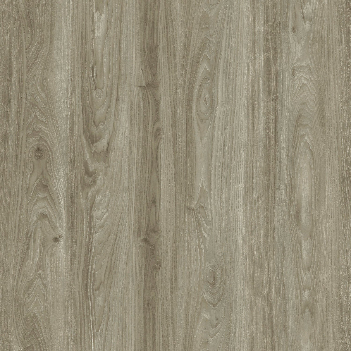 Lucida USA (Sample) PresCore Toasted Gray Wood Look 12-mil Water Resistant Glue Down Vinyl Tile