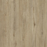 Lucida USA (Sample) PresCore Straw Brown Wood Look 12-mil Water Resistant Glue Down Vinyl Tile
