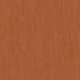 Lucida USA (Sample) Gluecore Shadow Gray Wood Look 22-mil Glue Down Luxury Vinyl Plank