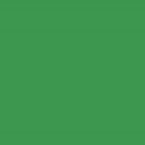 Lucida USA Sprout Green Solid 28-mil x 9-in W x 10-in L Waterproof Glue Down Luxury Vinyl Tile Flooring (12.25-sq ft/ Carton)
