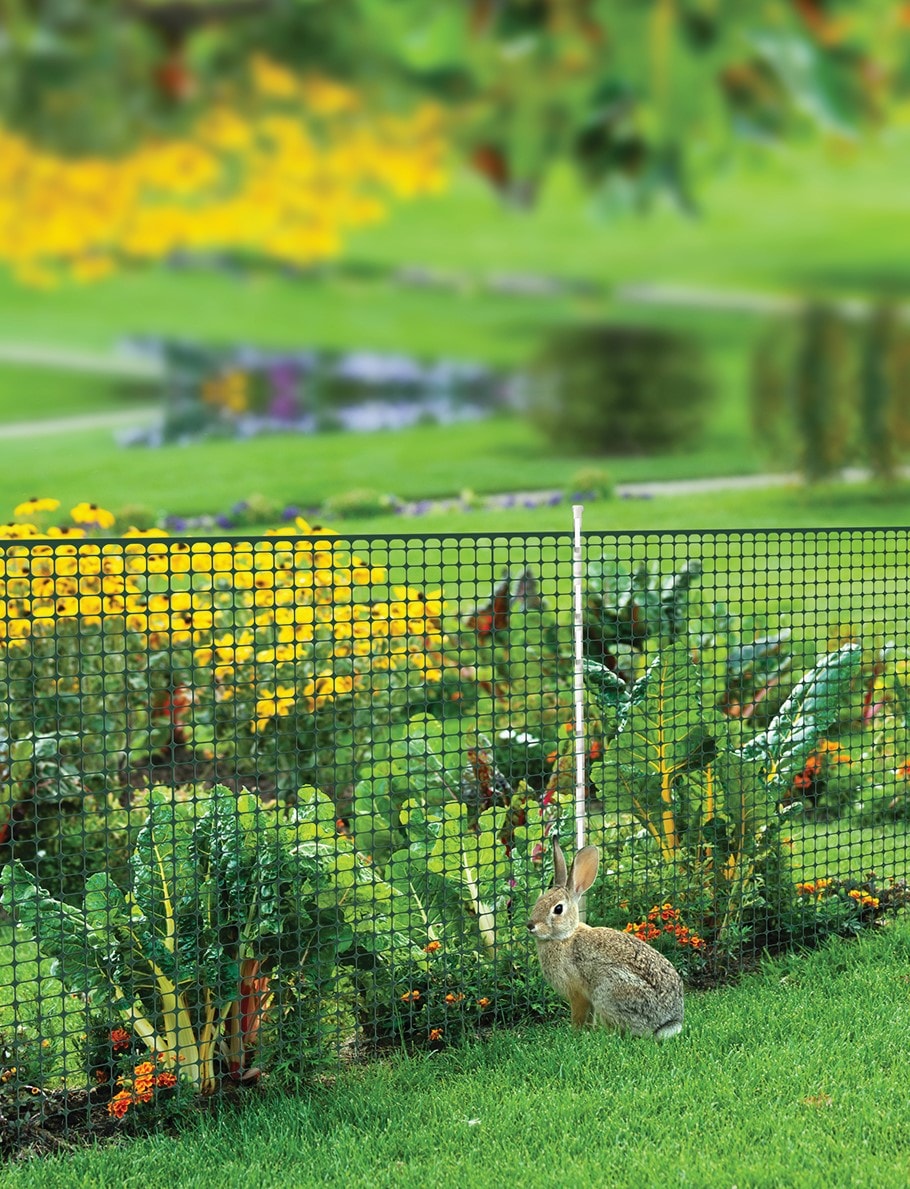 YARDGARD 3.3-ft H x 6-ft L Multi-purpose Plastic Poly Sheeting