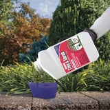 Bonide Annual Liquid Concentrate Insect Killer, Tree & Shrub Control, 32 oz