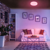 14 in. Voice Controlled Colors White Smart LED Flush Mount - Super Arbor