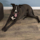 CALI Pro Classic Monterey 5.5-mm x 7-in W x 48-in L Waterproof Interlocking Luxury Vinyl Plank Flooring (23.77-sq ft/case)