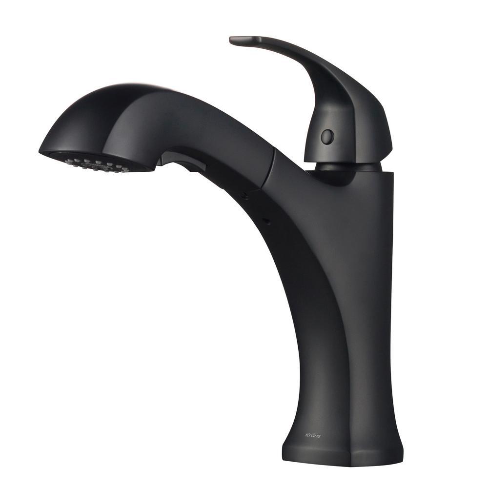 Spot Free Oren Single-Handle Pull-Out Sprayer Kitchen Faucet in All-Brite Stainless Steel - Super Arbor
