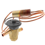 Rheem 61-103652-01 valve - detail view (Product Type: Valve)
