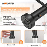 OWOFAN Black Kitchen Faucet with Pull Down Sprayer - Stainless Steel, Single Handle, Dual Function