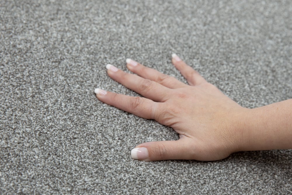 STAINMASTER Beatitude Elsewhere Textured Carpet Sample (Interior), 8-in x 8-in