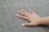 STAINMASTER Beatitude Elsewhere Textured Carpet Sample (Interior), 8-in x 8-in