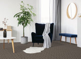 STAINMASTER Essentials So In Love Detour Pattern Indoor Carpet, 12‑ft Roll Width, Gray