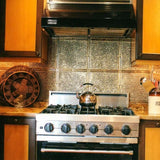 From Plain to Beautiful in Hours 2-ft x 2-ft Pounded Gold Nugget Steel Drop Ceiling Tile (6-Pack, 24-sq ft / Case)