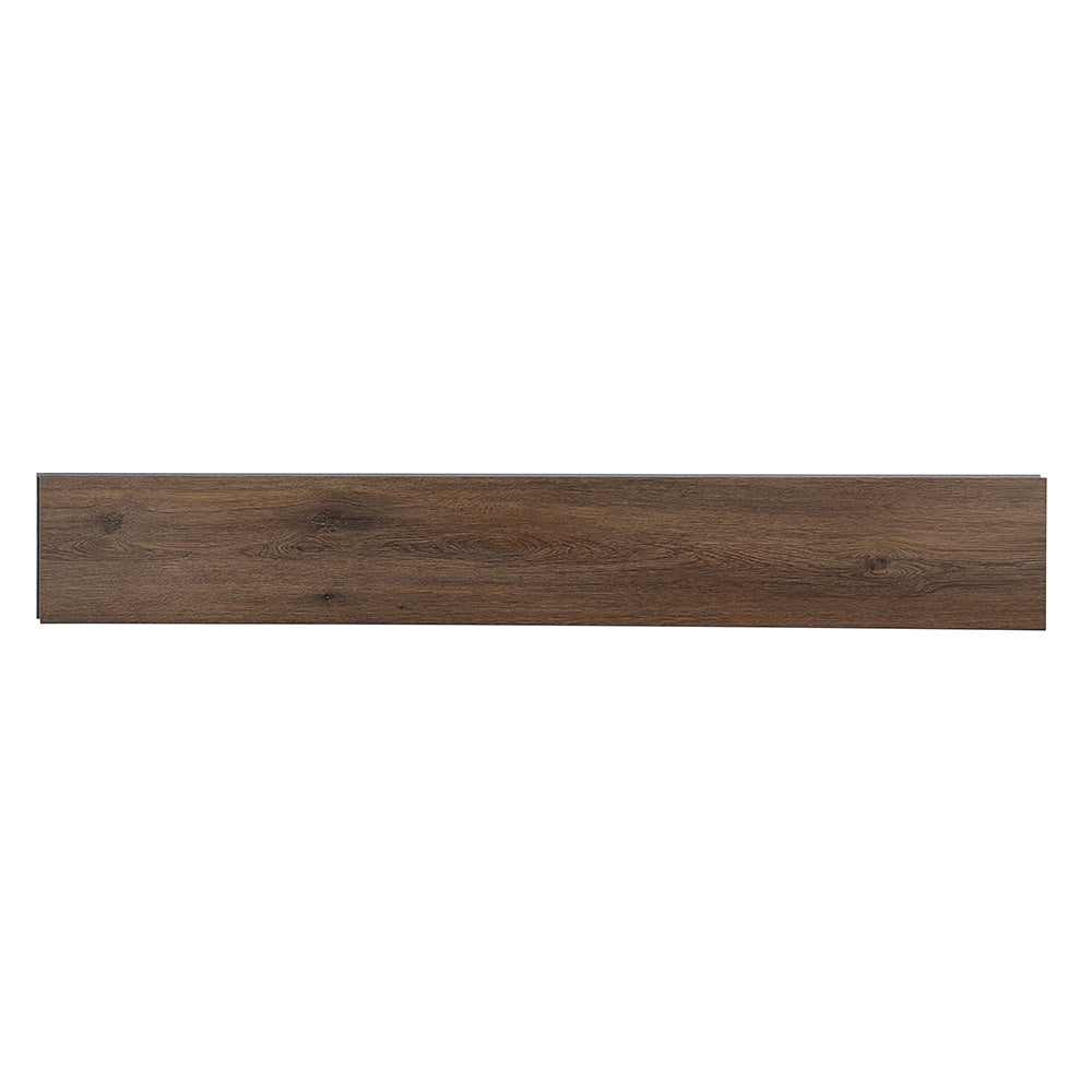 STAINMASTER (Sample) Truffle Oak 12-mil x 7-in W Waterproof Luxury Vinyl Plank
