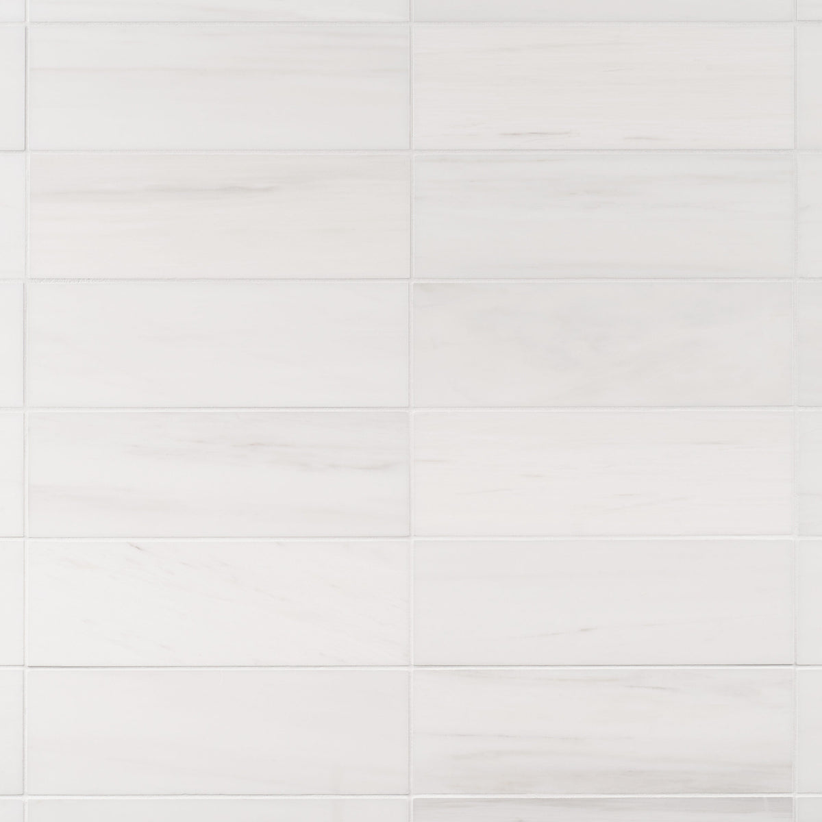 Artmore Tile Bianco Dolomite White 4-in x 12-in Honed Natural stone Marble Marble look Floor and Wall Tile product image