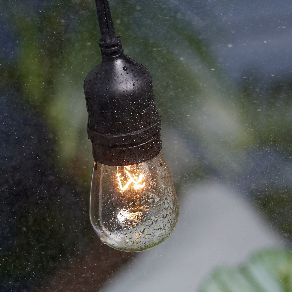 Portfolio 24-ft 12-Light Plug-in Incandescent Edison String Lights, Black