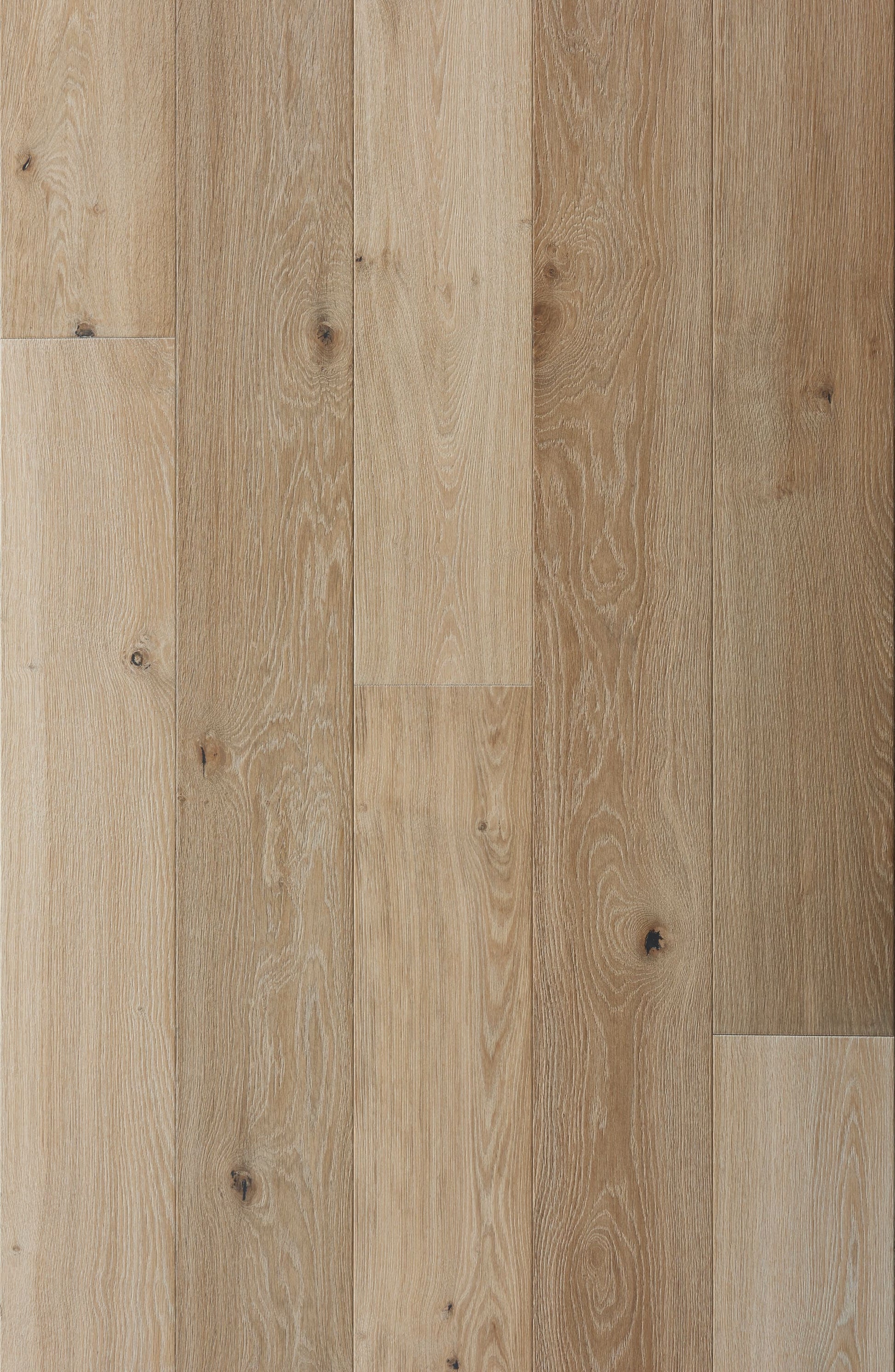 Villa Barcelona White oak Montilla hardwood flooring — primary plank view