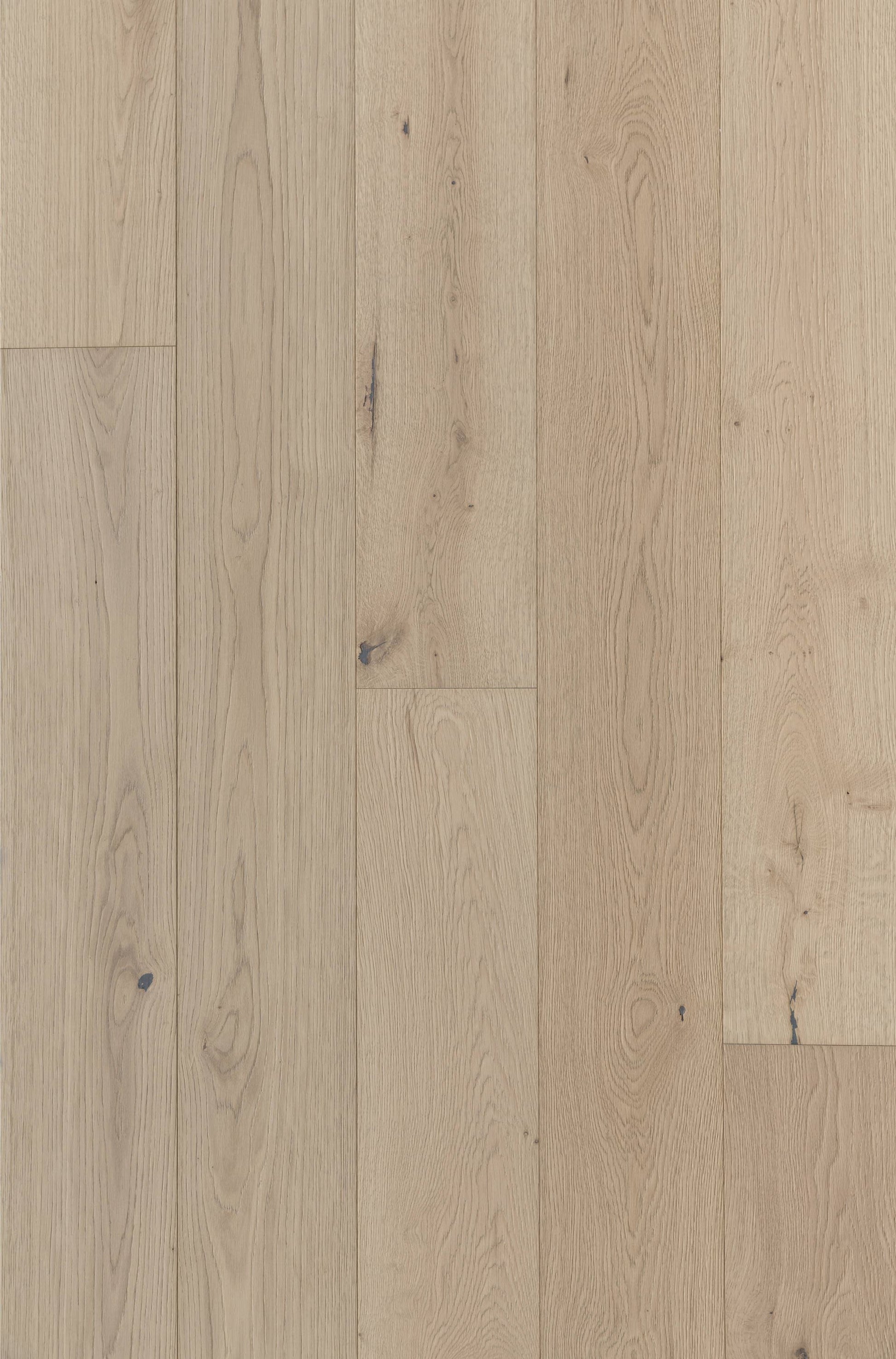 Villa Barcelona White oak Velazquez hardwood flooring — primary plank view