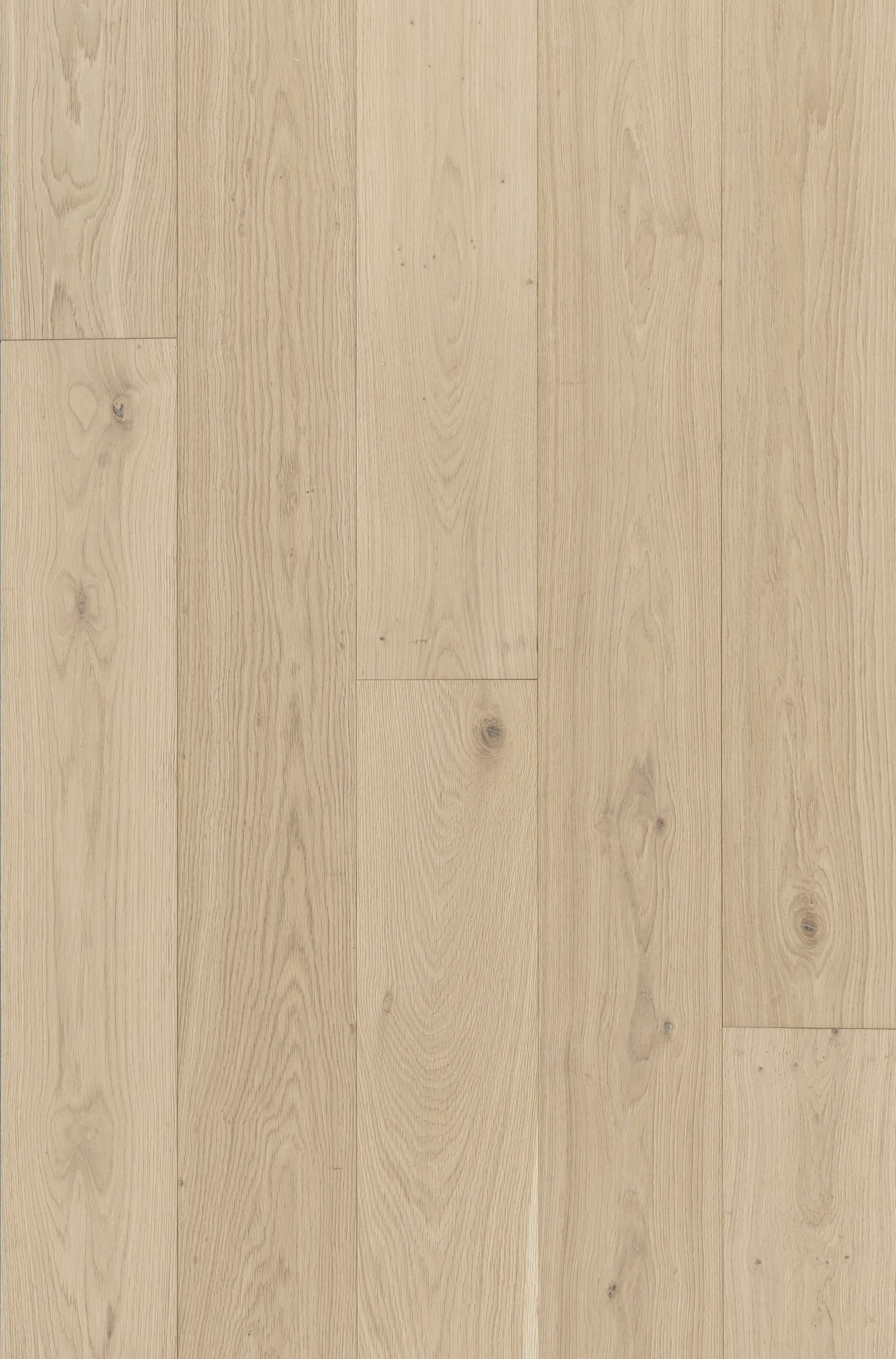 Villa Barcelona White oak Sorolla hardwood flooring — primary plank view