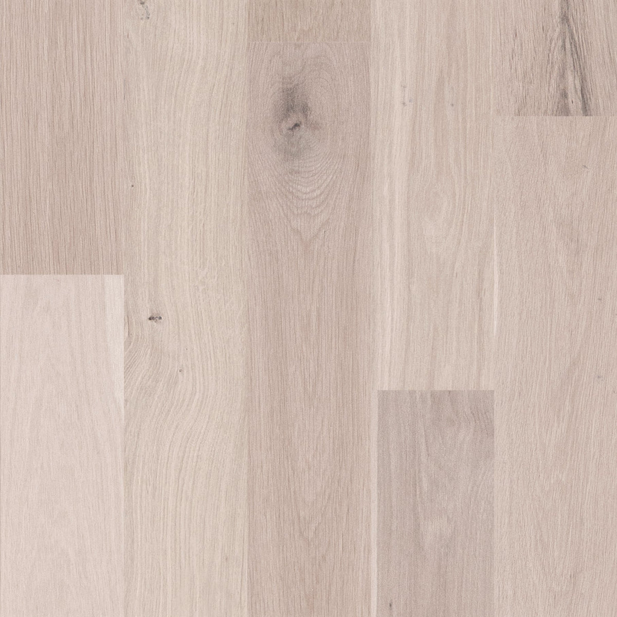 allen + roth White oak Unfinished Character hardwood flooring — primary plank view