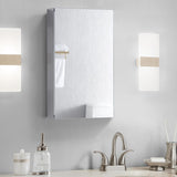 allen + roth Maximum Storage 15-in x 24-in Fog Free Surface Mount Silver Mirrored Soft Close Medicine Cabinet