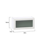 Hugo&Borg Riviera 30-in W x 15-in H x 14-in D Bright White Wall Fully Assembled Cabinet (Glass Panel Shaker Door Style)