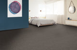 STAINMASTER Essentials Blue Diamonds I 12-ft Pewter Textured Carpet Sample (Interior)