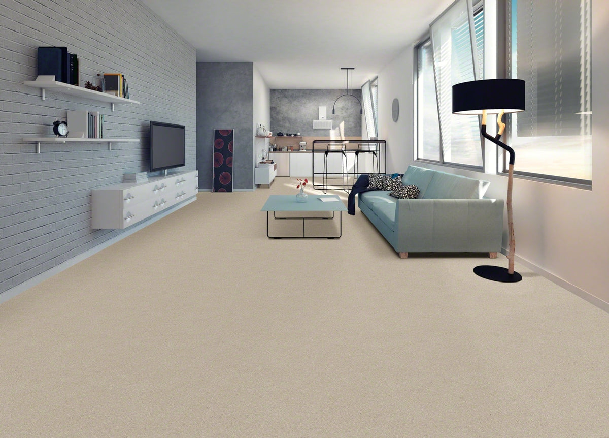 STAINMASTER Essentials Blue Diamonds II 12-ft Bleached Textured Carpet Sample (Interior)