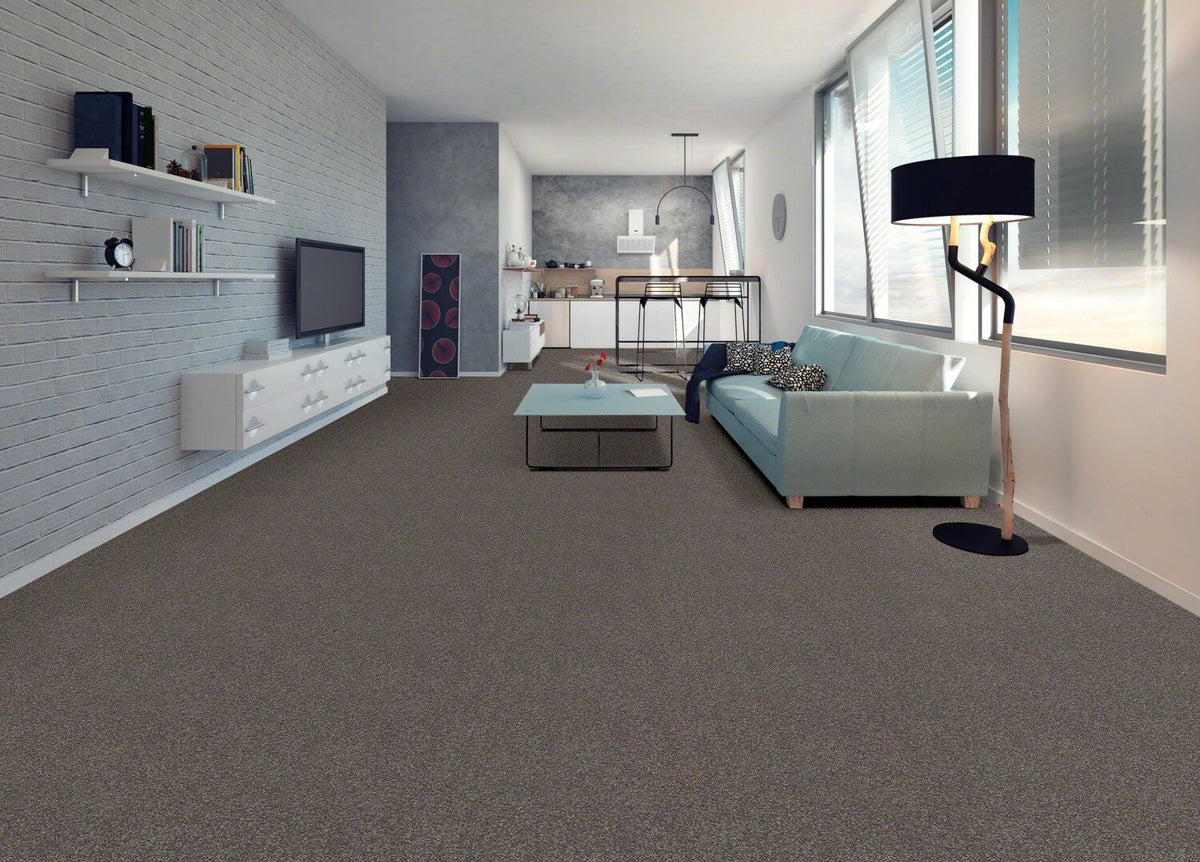 STAINMASTER Essentials Blue Diamonds I 12-ft Pewter Textured Carpet Sample (Interior)