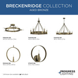 Progress Lighting Breckenridge 8-Light Bronze Farmhouse Chandelier